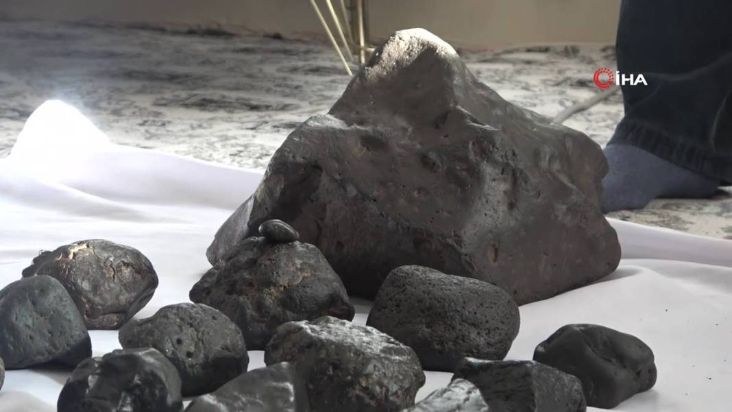 Mantar toplarken bir anda Afet Yönetim Merkezi'ni arayıp, 'Hemen gelin' dedi! Öyle bir manzarayla karşılaştı ki... 2